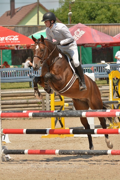 Soutěž společnosti DELTAPLAN, soutěž st. 