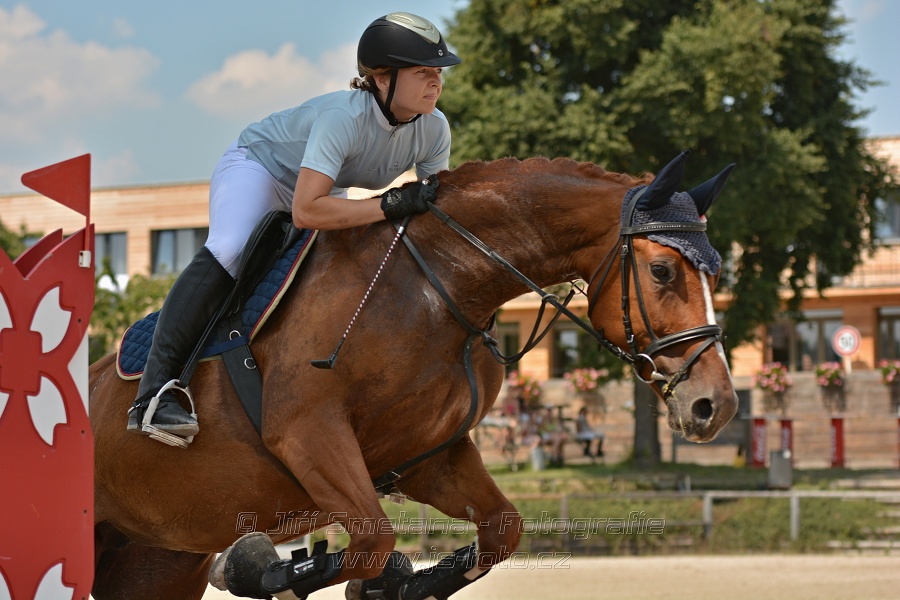 Soutěž společnosti DELTAPLAN, soutěž st. 