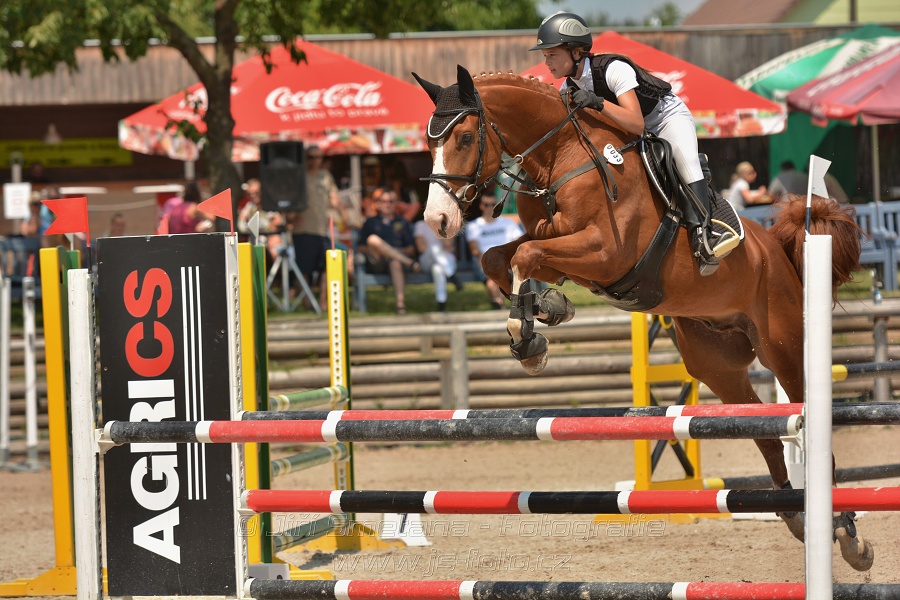 Soutěž společnosti DELTAPLAN, soutěž st. 