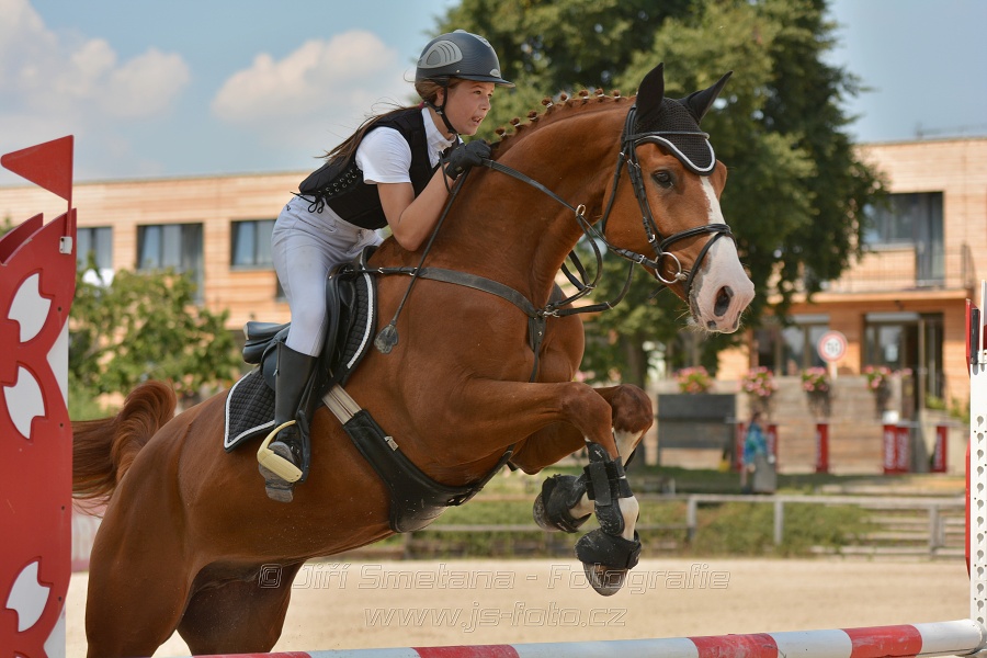 Soutěž společnosti DELTAPLAN, soutěž st. 