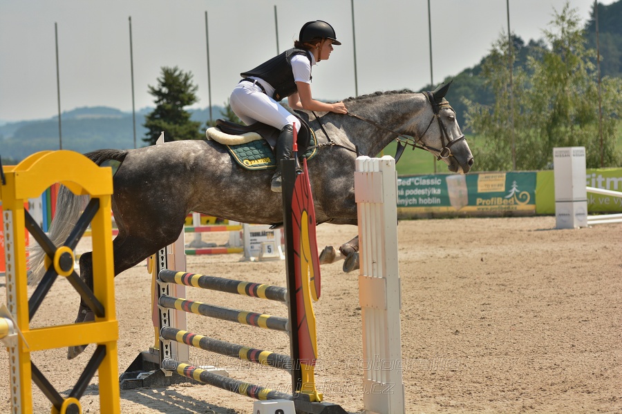 Soutěž společnosti DELTAPLAN, soutěž st. 
