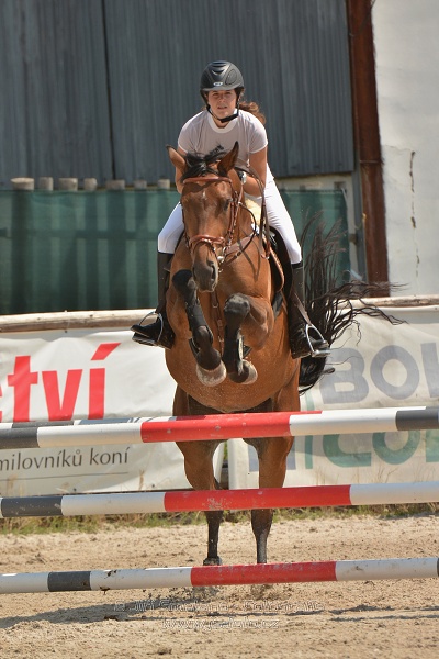 Soutěž společnosti DELTAPLAN, soutěž st. 