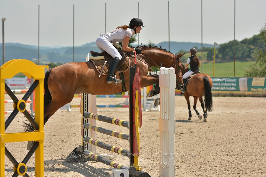 Soutěž společnosti DELTAPLAN, soutěž st. 