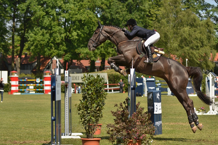 LONGINES GCT, Grand Prix of Hamburg 2014