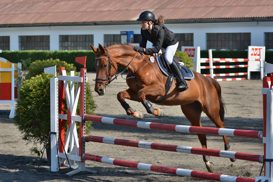 Cena společnosti Snoras - Skoková soutěž st. 
