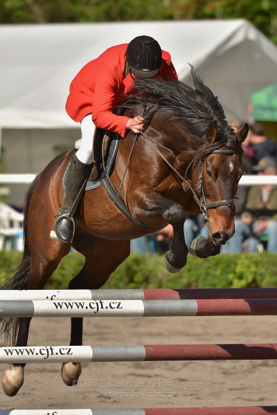 Cena společnosti Snoras - Skoková soutěž st. 