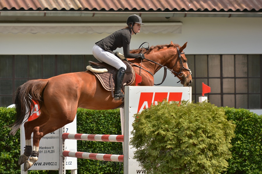 Cena Autoškoly Roubal - Skoková soutěž st. 
