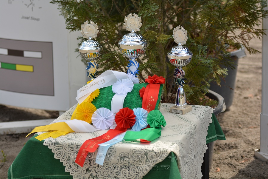 45. JARNÍ CENA - Cena pojišťovny MetLife - Handicap pro děti a juniory