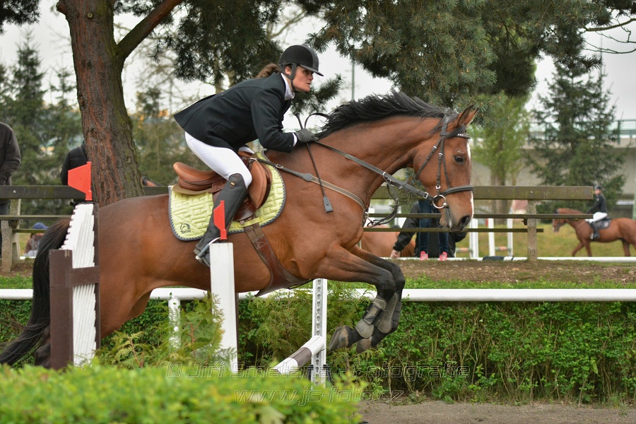 Cena JK Slavia VŠ - Skoková soutěž st. 