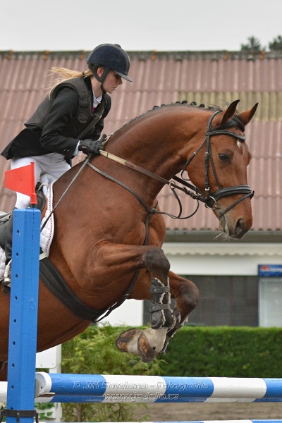 Cena JK Slavia VŠ - Skoková soutěž st. 