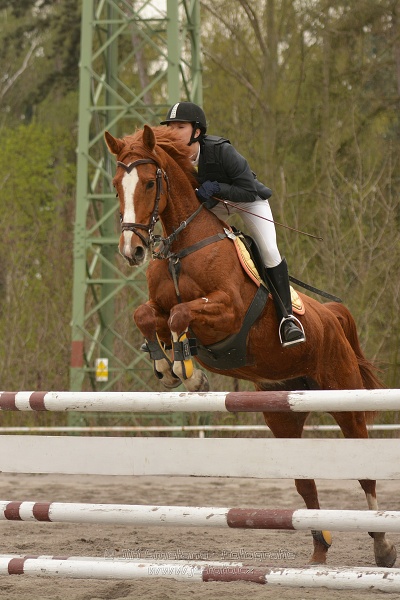 Skoková soutěž st. 