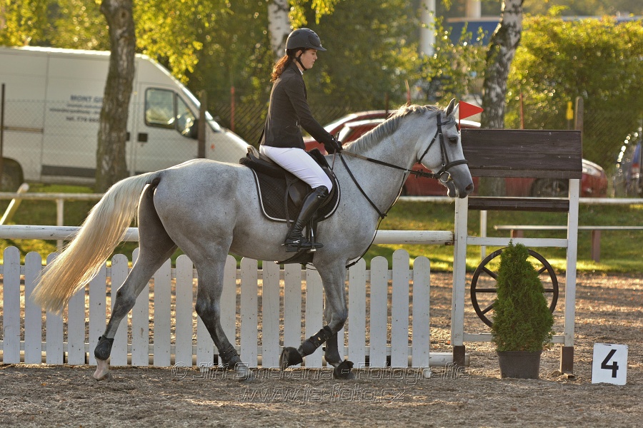 Skoková soutěž st. „Z“, Finále ZČJT 2014 - děti