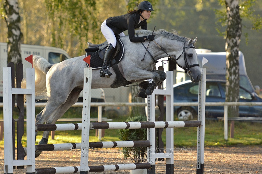 Skoková soutěž st. „Z“, Finále ZČJT 2014 - děti