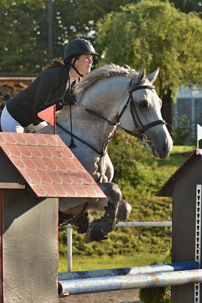 Skoková soutěž st. „Z“, Finále ZČJT 2014 - děti