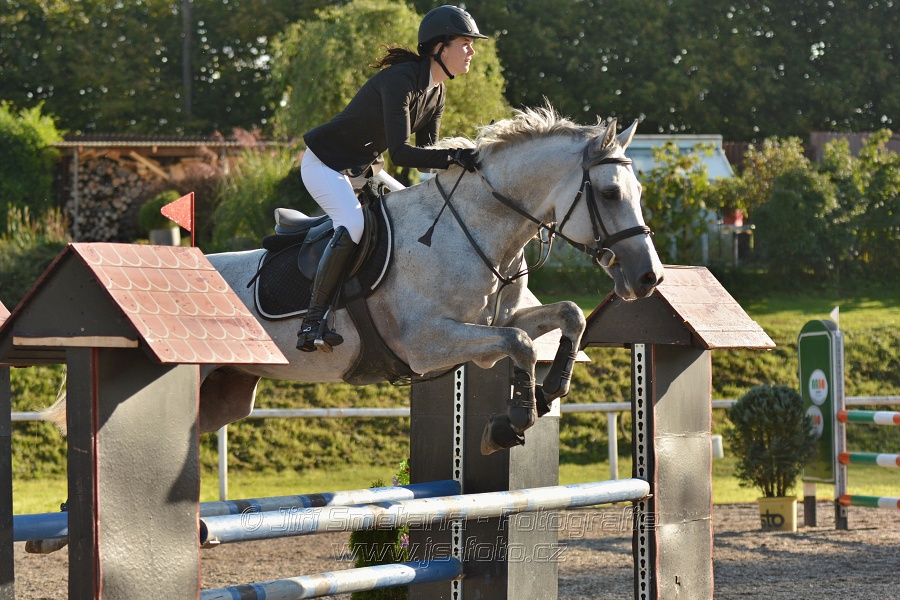 Skoková soutěž st. „Z“, Finále ZČJT 2014 - děti