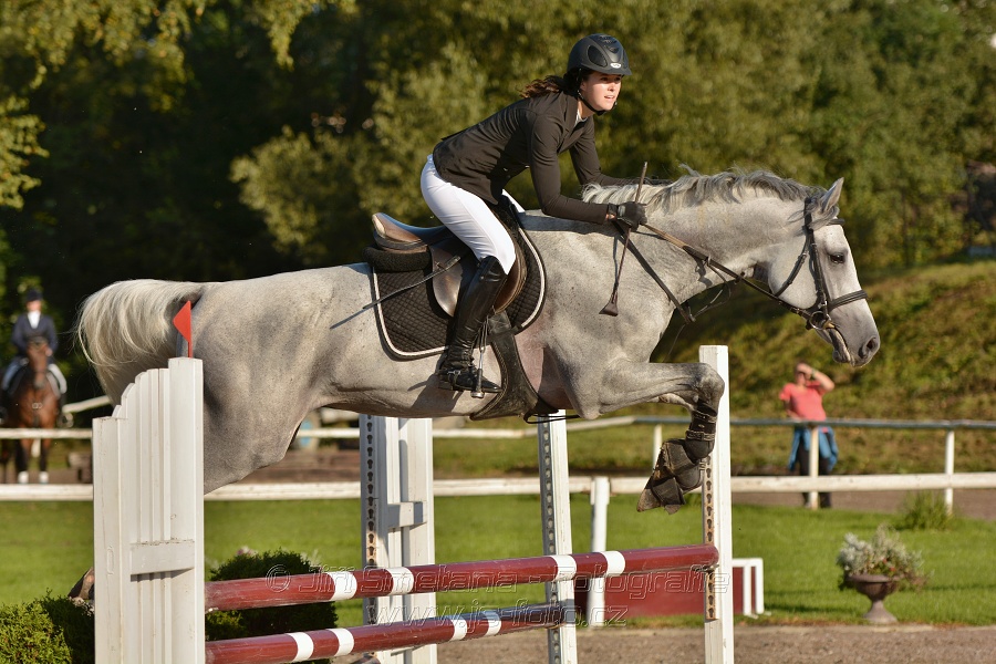 Skoková soutěž st. „Z“, Finále ZČJT 2014 - děti