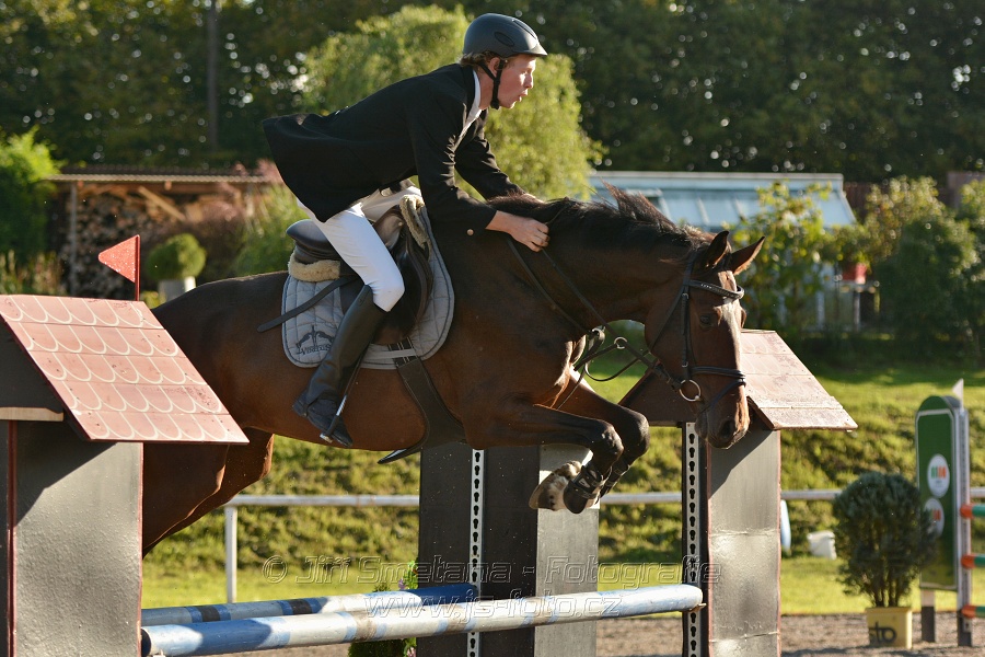 Skoková soutěž st. „Z“, Finále ZČJT 2014 - děti