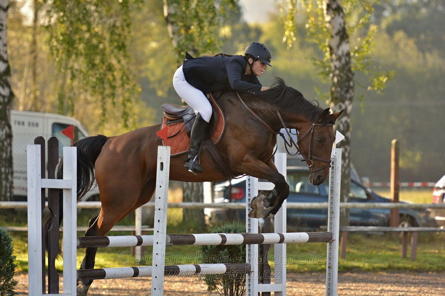 Skoková soutěž st. „Z“, Finále ZČJT 2014 - děti