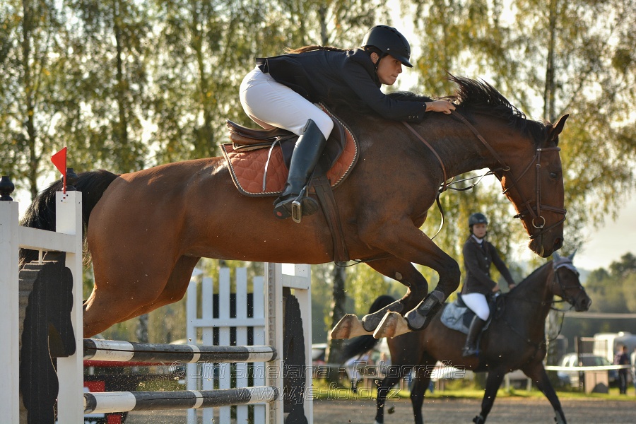 Skoková soutěž st. „Z“, Finále ZČJT 2014 - děti