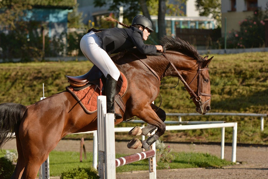 Skoková soutěž st. „Z“, Finále ZČJT 2014 - děti