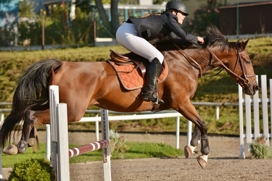 Skoková soutěž st. „Z“, Finále ZČJT 2014 - děti