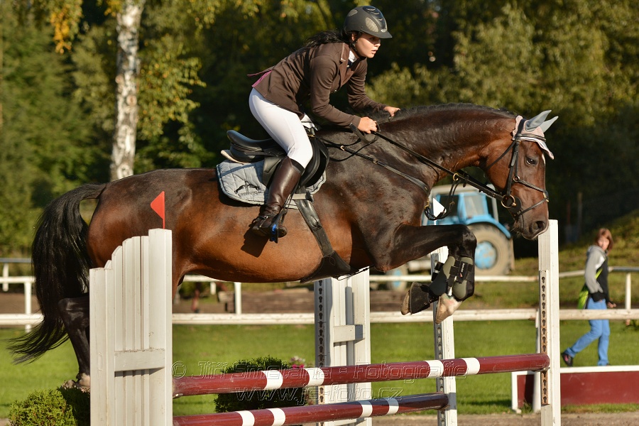 Skoková soutěž st. „Z“, Finále ZČJT 2014 - děti