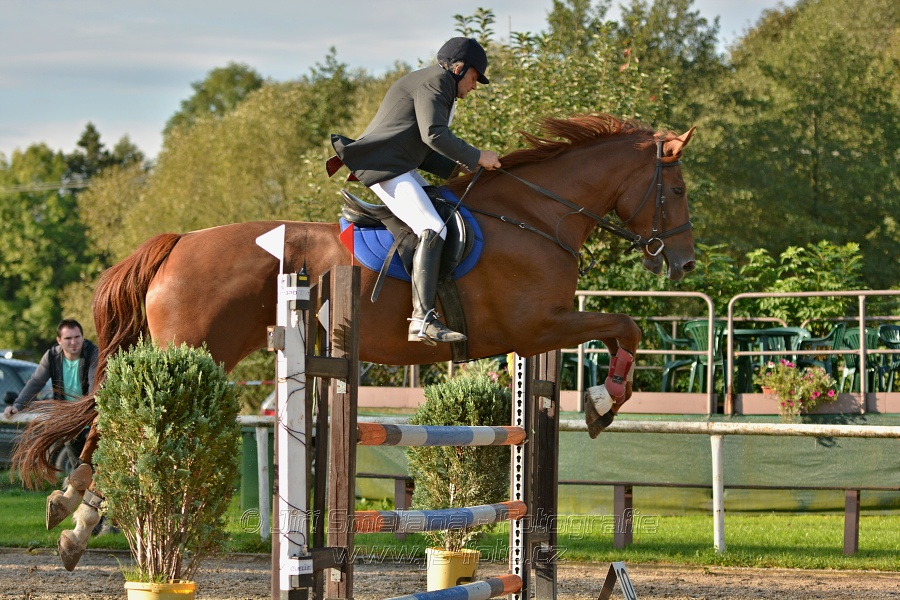 Skoková soutěž st. „Z“, Finále ZČJT 2014 - děti