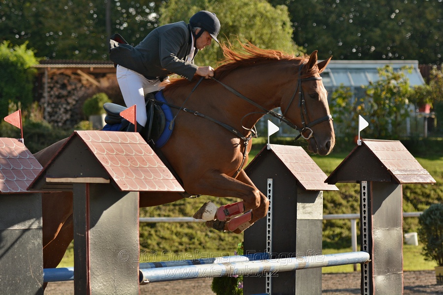 Skoková soutěž st. „Z“, Finále ZČJT 2014 - děti