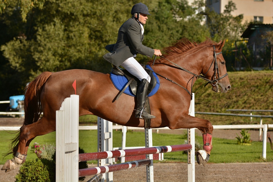 Skoková soutěž st. „Z“, Finále ZČJT 2014 - děti