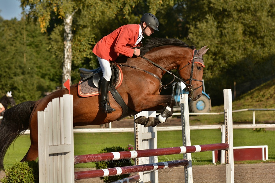 Skoková soutěž st. „Z“, Finále ZČJT 2014 - děti