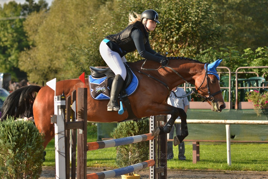 Skoková soutěž st. „Z“, Finále ZČJT 2014 - děti