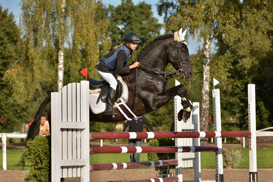 Skoková soutěž st. „Z“, Finále ZČJT 2014 - děti