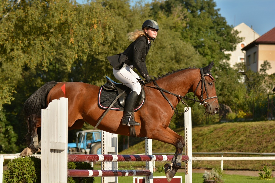 Skoková soutěž st. „Z“, Finále ZČJT 2014 - děti