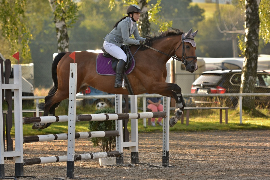 Skoková soutěž st. „Z“, Finále ZČJT 2014 - děti