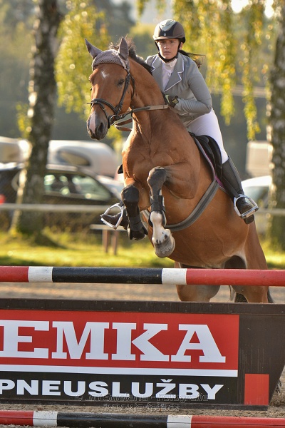 Skoková soutěž st. „Z“, Finále ZČJT 2014 - děti