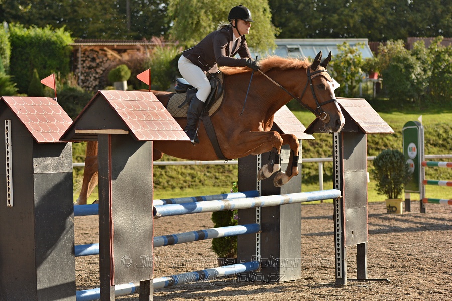 Skoková soutěž st. „Z“, Finále ZČJT 2014 - děti