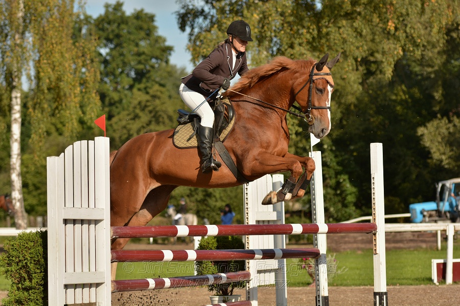 Skoková soutěž st. „Z“, Finále ZČJT 2014 - děti