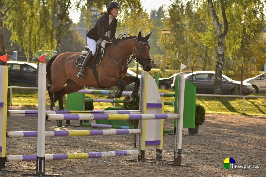 Skoková soutěž st. „Z“, Finále ZČJT 2014 - děti