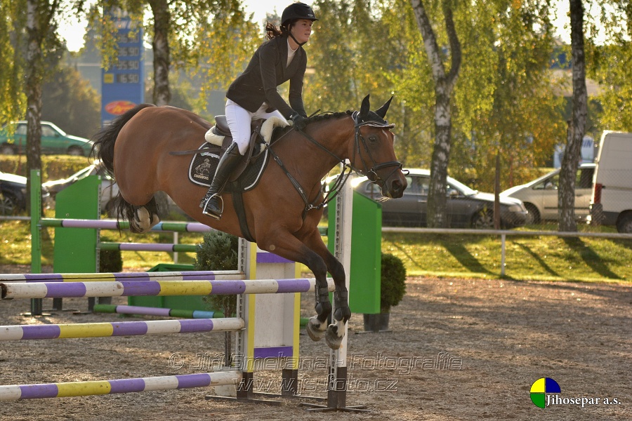 Skoková soutěž st. „Z“, Finále ZČJT 2014 - děti