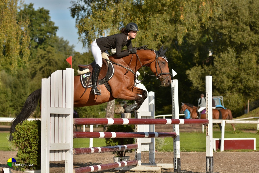 Skoková soutěž st. „Z“, Finále ZČJT 2014 - děti