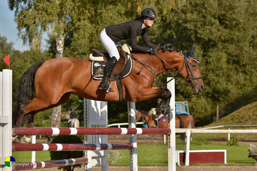 Skoková soutěž st. „Z“, Finále ZČJT 2014 - děti