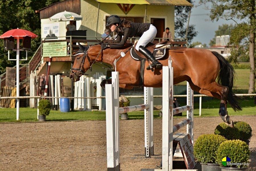 Skoková soutěž st. „Z“, Finále ZČJT 2014 - děti