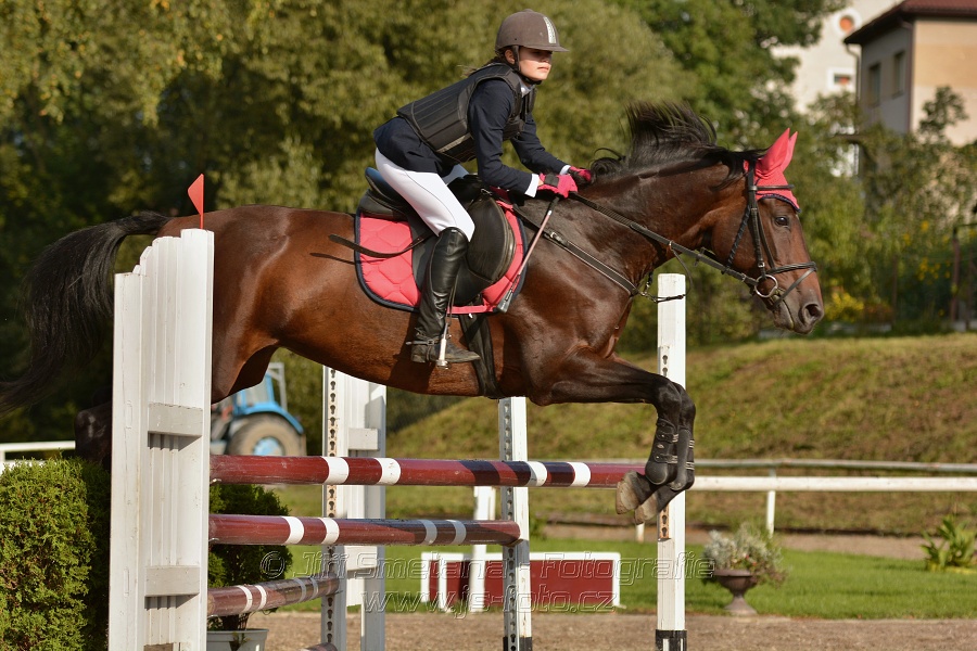 Skoková soutěž st. „Z“, Finále ZČJT 2014 - děti