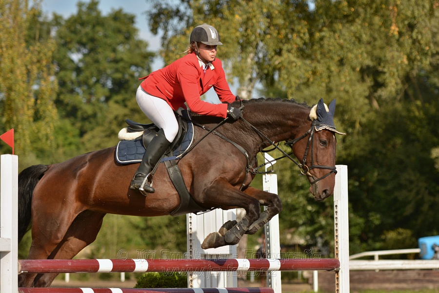 Skoková soutěž st. „Z“, Finále ZČJT 2014 - děti