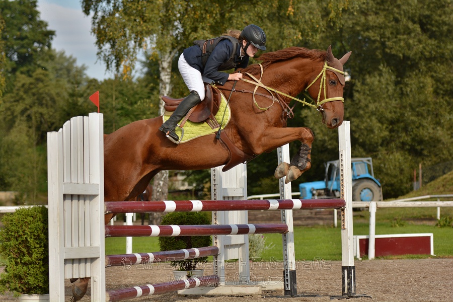 Skoková soutěž st. „Z“, Finále ZČJT 2014 - děti