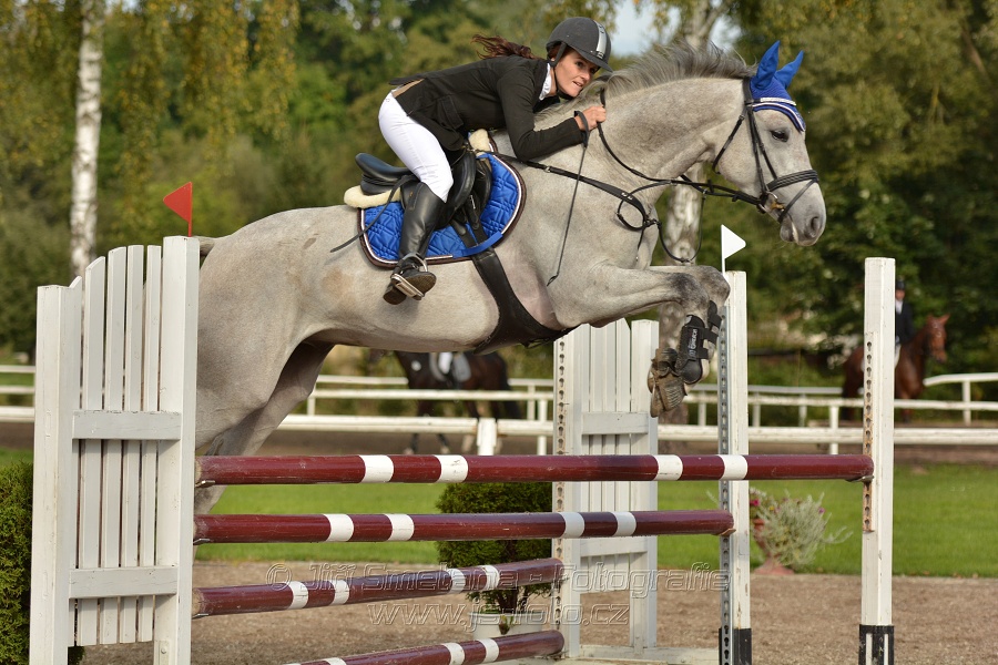 Skoková soutěž st. „Z“, Finále ZČJT 2014 - děti