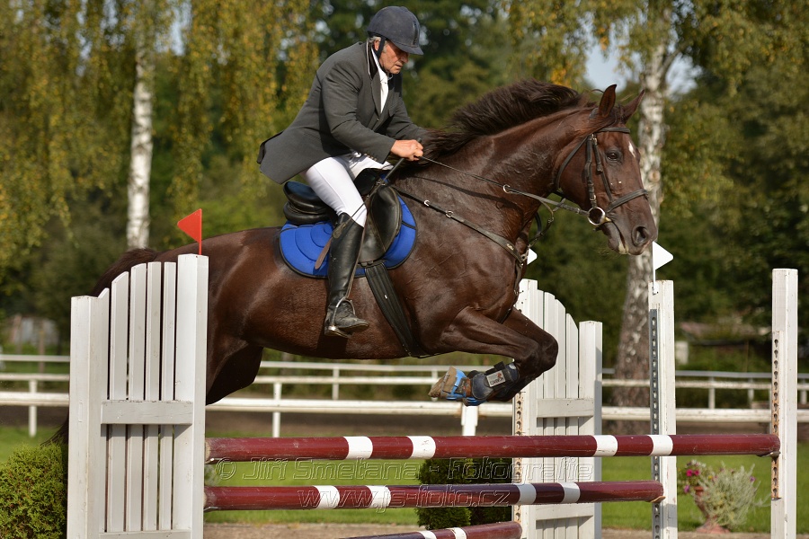 Skoková soutěž st. „Z“, Finále ZČJT 2014 - děti