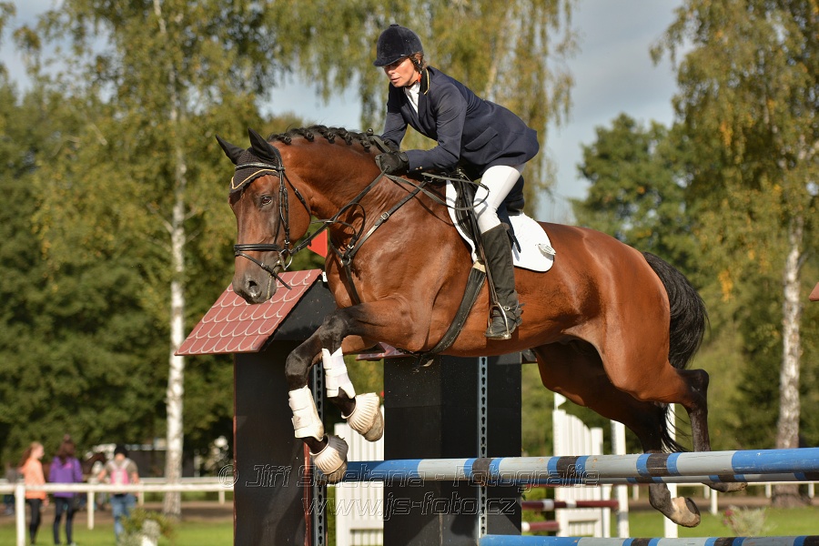 Skoková soutěž st. „Z“, Finále ZČJT 2014 - děti