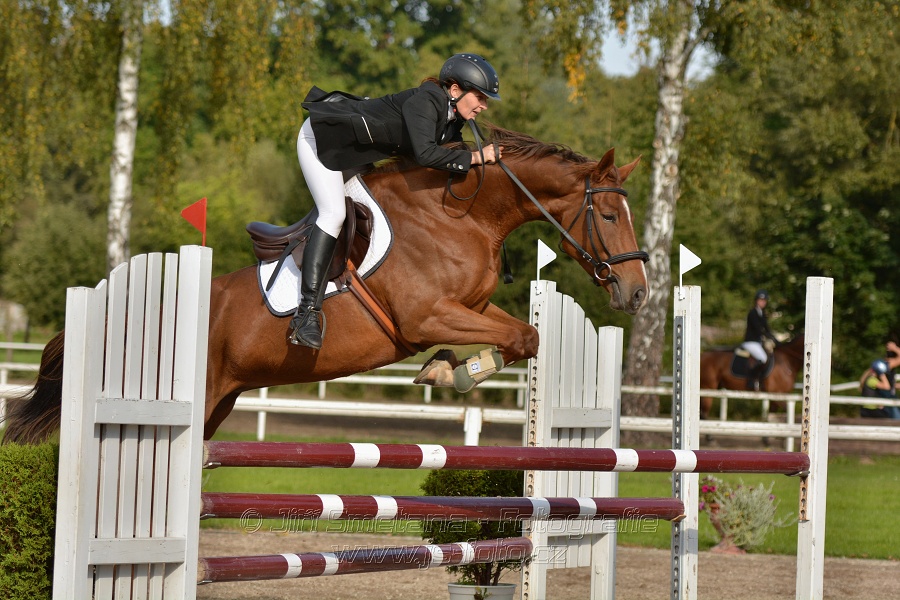 Skoková soutěž st. „Z“, Finále ZČJT 2014 - děti