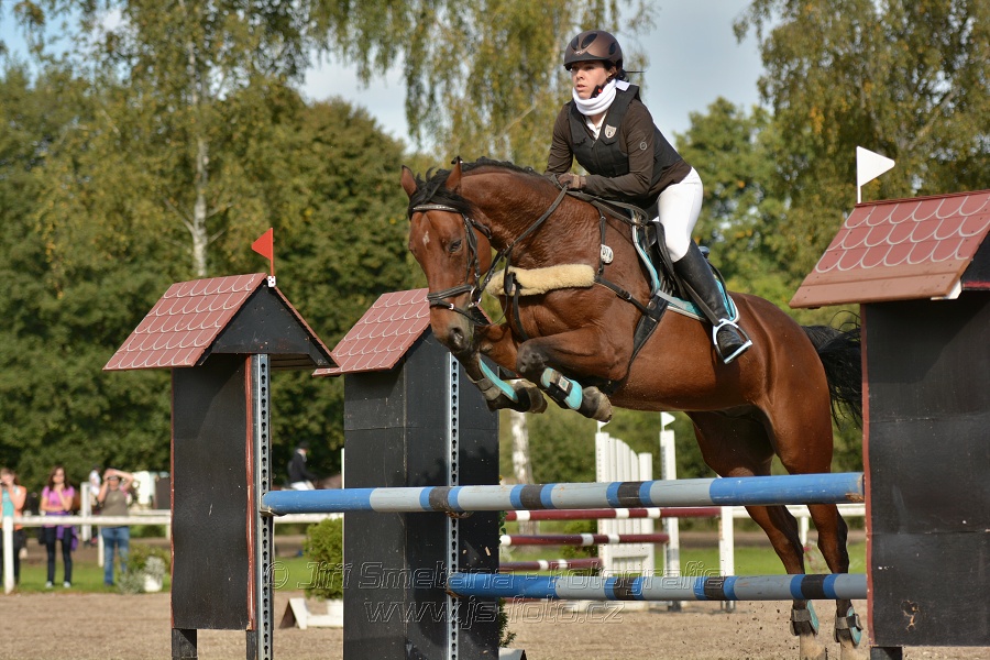 Skoková soutěž st. „Z“, Finále ZČJT 2014 - děti